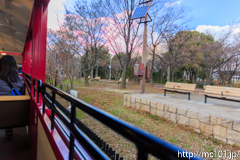 [京都鉄道博物館] 梅小路公園にはSLスチーム号やその他線路を見学できる場所にベンチが設けられているようです。